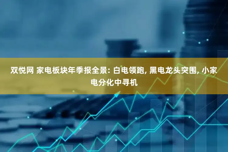 双悦网 家电板块年季报全景: 白电领跑, 黑电龙头突围, 小家电分化中寻机