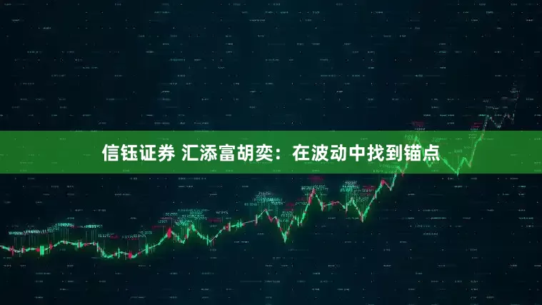 信钰证券 汇添富胡奕：在波动中找到锚点