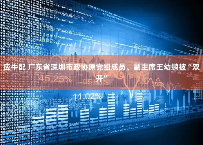 应牛配 广东省深圳市政协原党组成员、副主席王幼鹏被“双开”