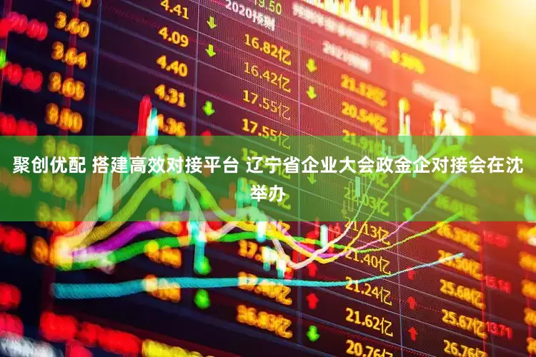 聚创优配 搭建高效对接平台 辽宁省企业大会政金企对接会在沈举办