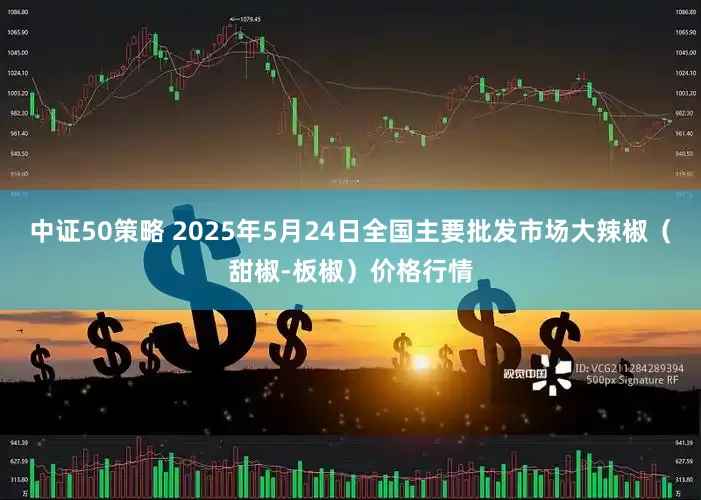 中证50策略 2025年5月24日全国主要批发市场大辣椒（甜椒-板椒）价格行情