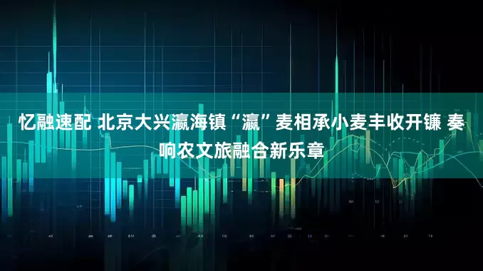 忆融速配 北京大兴瀛海镇“瀛”麦相承小麦丰收开镰 奏响农文旅融合新乐章