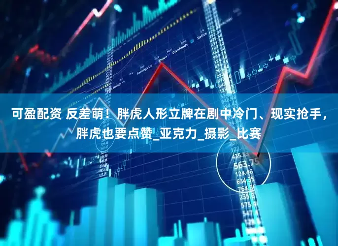 可盈配资 反差萌！胖虎人形立牌在剧中冷门、现实抢手，胖虎也要点赞_亚克力_摄影_比赛